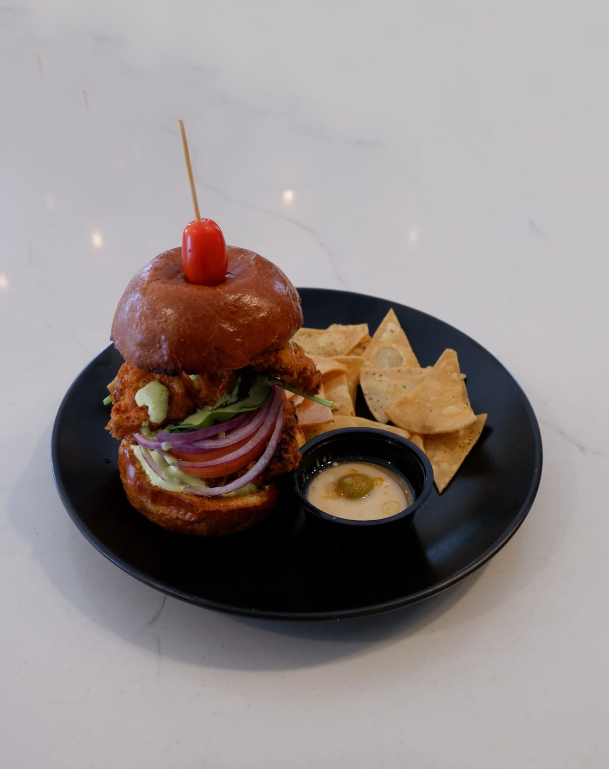 Chicken Sandwich with chips and hummus