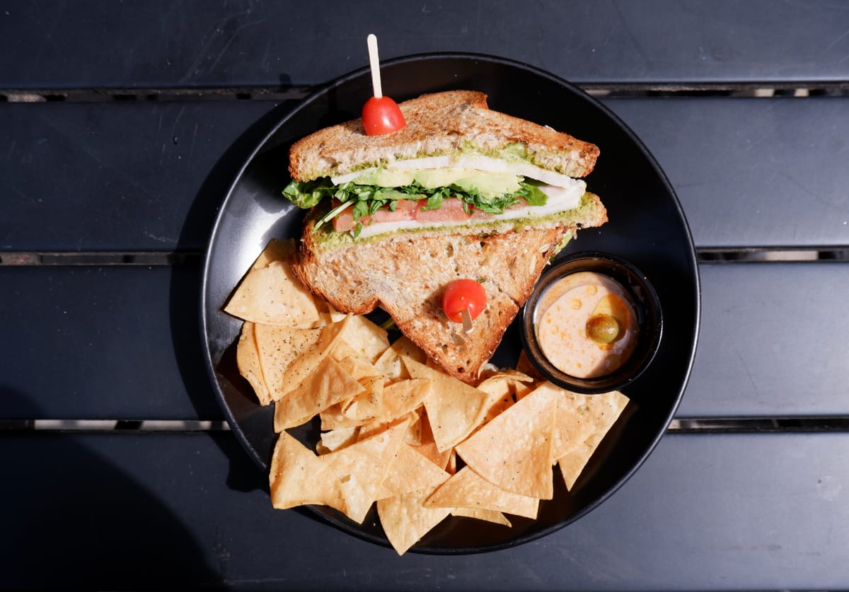 Turkey Sandwich with chips and hummus