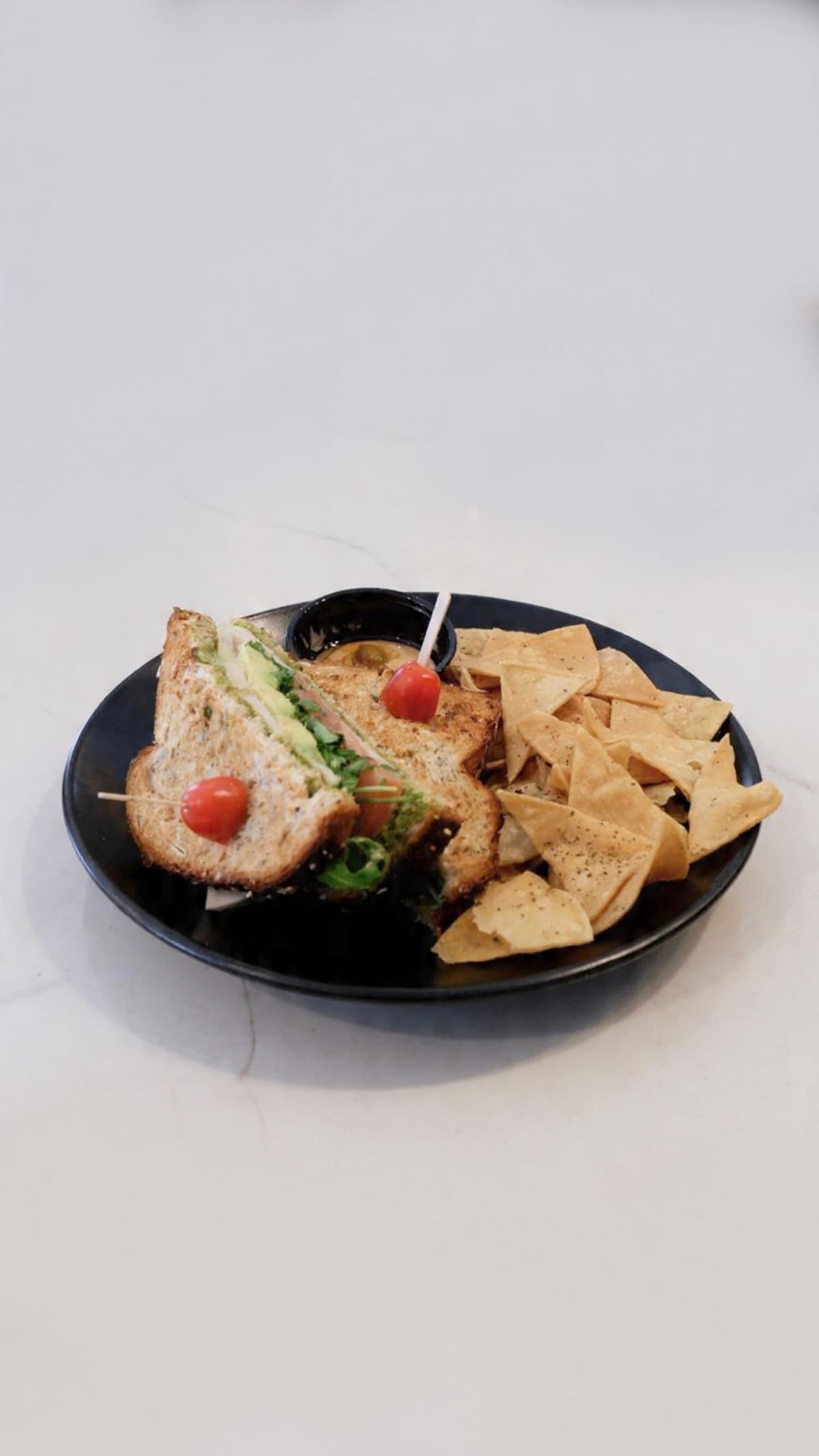 Turkey Sandwich with chips and hummus